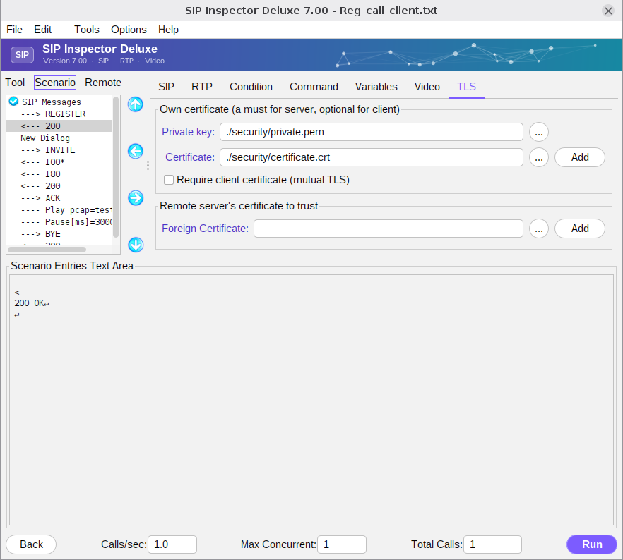 Figure 30 - TLS tab